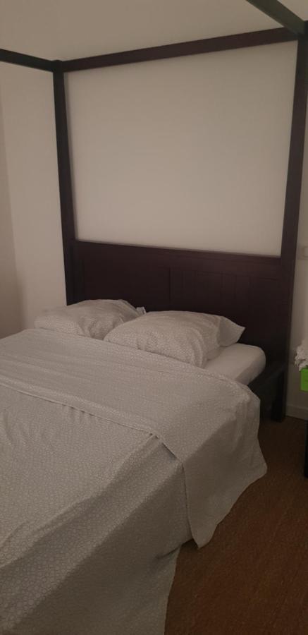 Centre Ville Le Puy-En-Velay Au 1Er Etage Esterno foto